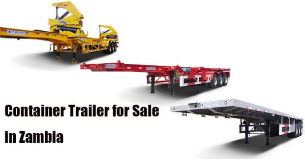 Different Types of Container Trailer for Transporting Shipping Containers in Zambia