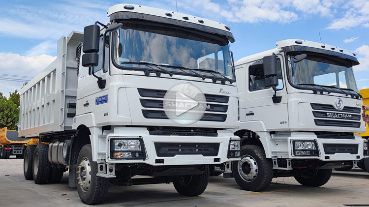 Shacman Zambia | Shacman F3000 Dump Truck 6x4 for Sale In Zambia